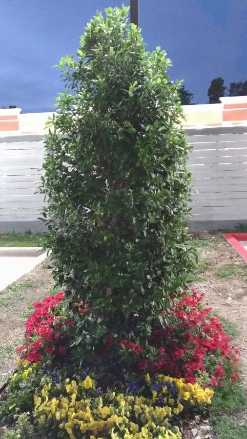 Haven Inn & Suites Downtown Houston. المظهر الخارجي الصورة